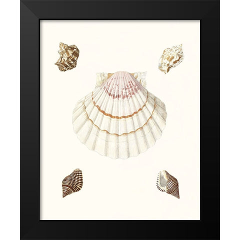Pastel Knorr Shells IV Black Modern Wood Framed Art Print by Knorr, G.W.