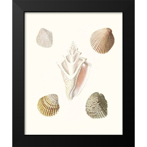 Pastel Knorr Shells IX Black Modern Wood Framed Art Print by Knorr, G.W.