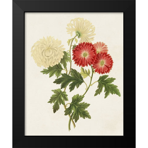 Flowers of the Seasons I Black Modern Wood Framed Art Print by Unknown