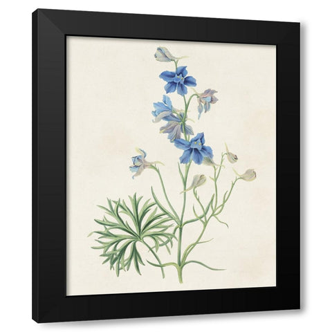Flowers of the Seasons II Black Modern Wood Framed Art Print with Double Matting by Unknown