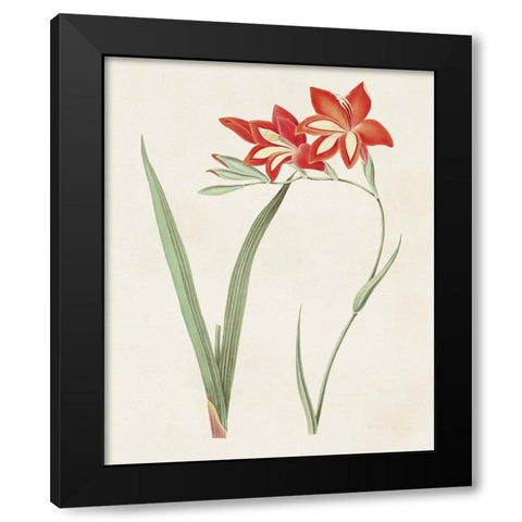 Flowers of the Seasons IV Black Modern Wood Framed Art Print with Double Matting by Unknown