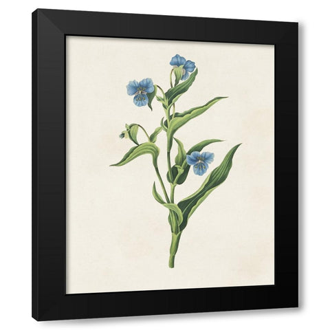 Flowers of the Seasons V Black Modern Wood Framed Art Print by Unknown