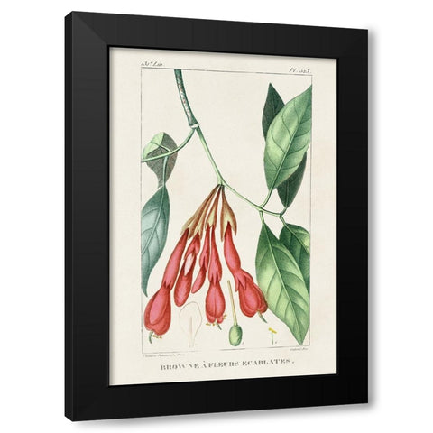 Turpin Tropical Botanicals I Black Modern Wood Framed Art Print by Turpin