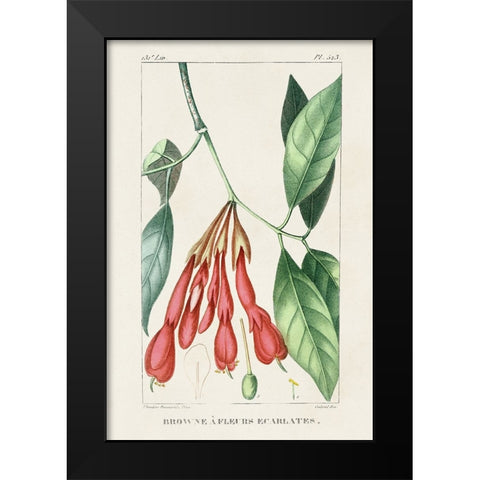Turpin Tropical Botanicals I Black Modern Wood Framed Art Print by Turpin