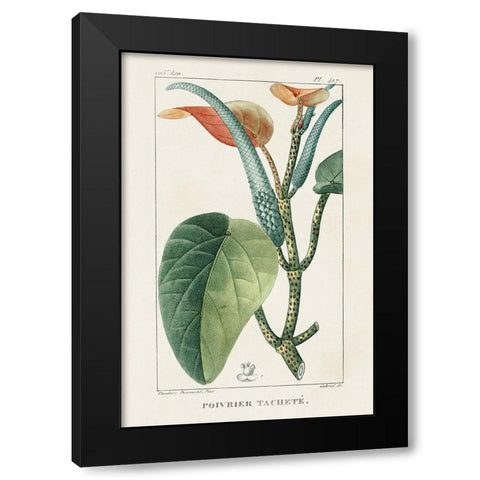 Turpin Tropical Botanicals II Black Modern Wood Framed Art Print with Double Matting by Turpin