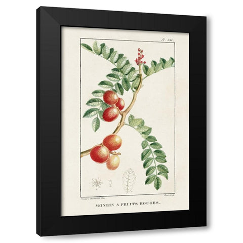 Turpin Tropical Botanicals III Black Modern Wood Framed Art Print with Double Matting by Turpin