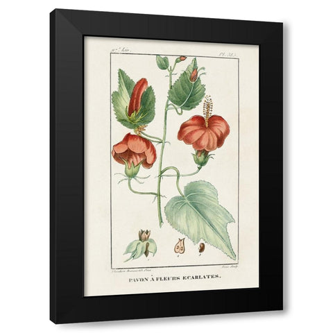 Turpin Tropical Botanicals IV Black Modern Wood Framed Art Print by Turpin