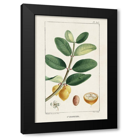 Turpin Tropical Botanicals V Black Modern Wood Framed Art Print with Double Matting by Turpin