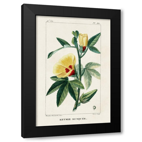 Turpin Tropical Botanicals VI Black Modern Wood Framed Art Print by Turpin