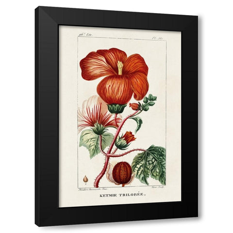Turpin Tropical Botanicals VII Black Modern Wood Framed Art Print with Double Matting by Turpin