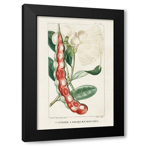 Turpin Tropical Botanicals VIII Black Modern Wood Framed Art Print by Turpin