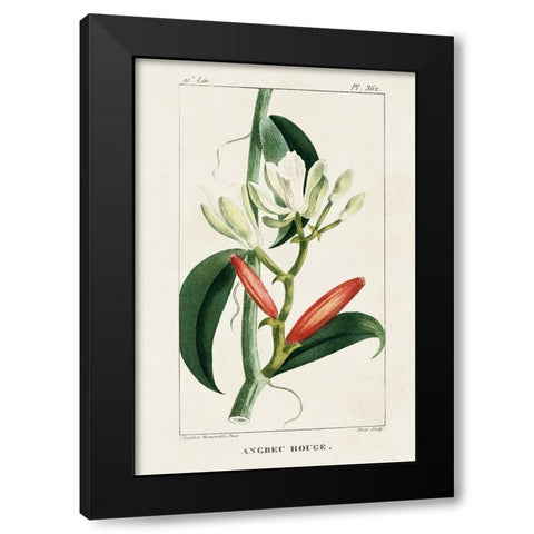 Turpin Tropical Botanicals IX Black Modern Wood Framed Art Print with Double Matting by Turpin