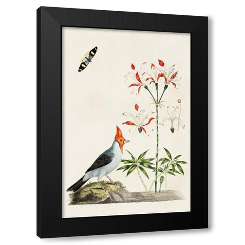 Bird in Habitat I Black Modern Wood Framed Art Print by Unknown