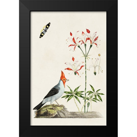 Bird in Habitat I Black Modern Wood Framed Art Print by Unknown