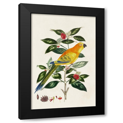 Bird in Habitat V Black Modern Wood Framed Art Print by Unknown