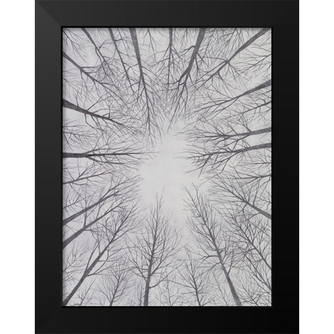 Deciduous Canopy II Black Modern Wood Framed Art Print by Willett, Michael
