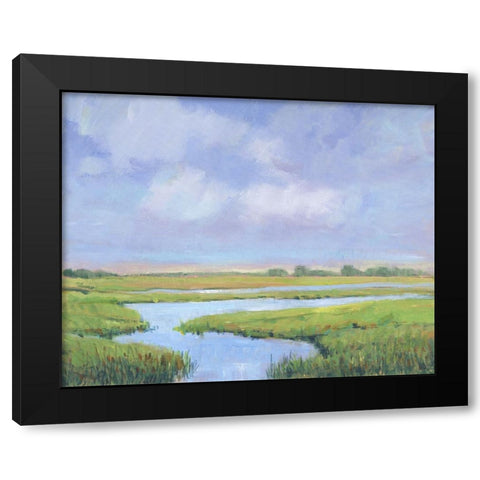 Summer Marsh II Black Modern Wood Framed Art Print by OToole, Tim