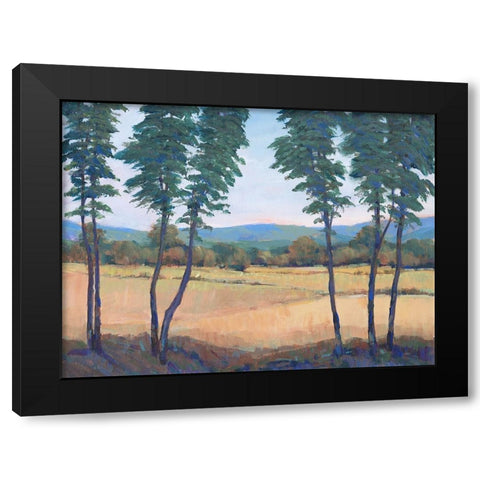 Still Morning II Black Modern Wood Framed Art Print with Double Matting by OToole, Tim