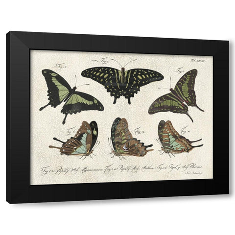 Crackled Butterflies II Black Modern Wood Framed Art Print by Vision Studio