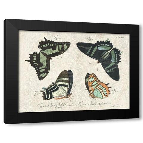 Crackled Butterflies III Black Modern Wood Framed Art Print by Vision Studio
