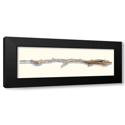 Driftwood Study I Black Modern Wood Framed Art Print with Double Matting by Willett, Michael