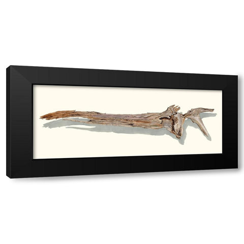 Driftwood Study II Black Modern Wood Framed Art Print by Willett, Michael