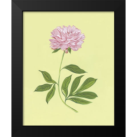 Peonies in Yellow I Black Modern Wood Framed Art Print by Marr, Laura