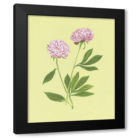 Peonies in Yellow II Black Modern Wood Framed Art Print with Double Matting by Marr, Laura