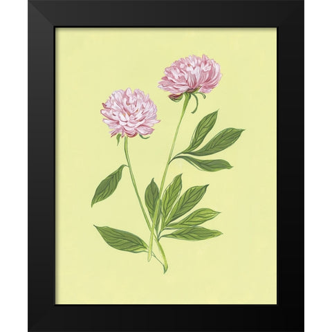 Peonies in Yellow II Black Modern Wood Framed Art Print by Marr, Laura