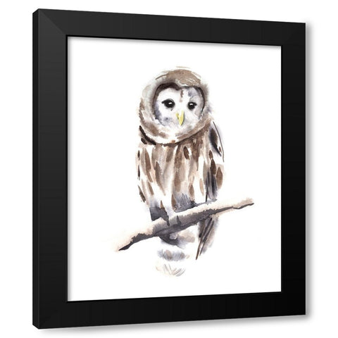 Barred Owl Impressions I Black Modern Wood Framed Art Print with Double Matting by Warren, Annie