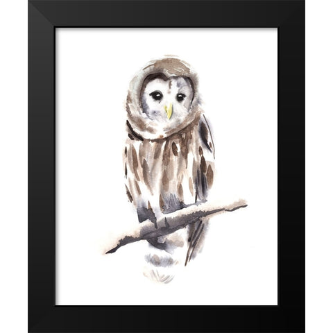 Barred Owl Impressions I Black Modern Wood Framed Art Print by Warren, Annie