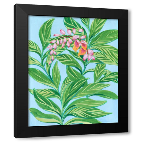 Tropical Shell Ginger I Black Modern Wood Framed Art Print by Marr, Laura