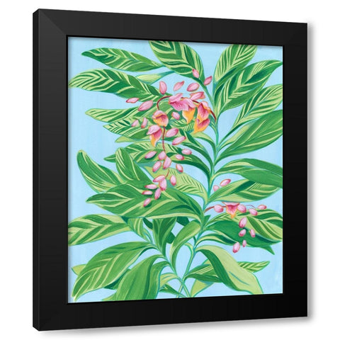 Tropical Shell Ginger II Black Modern Wood Framed Art Print by Marr, Laura