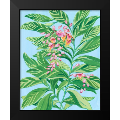 Tropical Shell Ginger II Black Modern Wood Framed Art Print by Marr, Laura