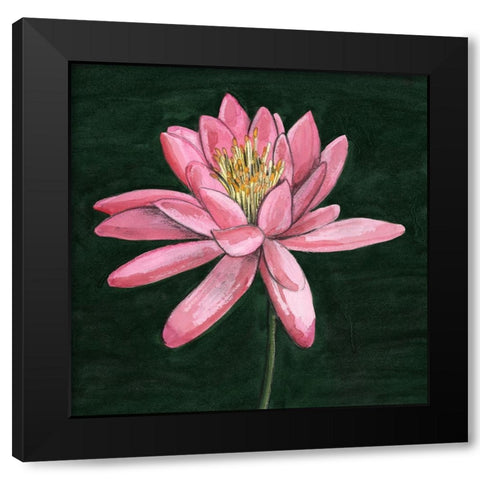 Pink Waterlily I Black Modern Wood Framed Art Print by Longley, Alicia