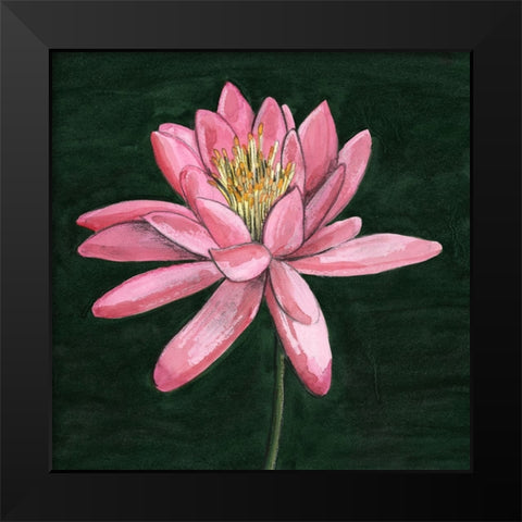 Pink Waterlily I Black Modern Wood Framed Art Print by Longley, Alicia