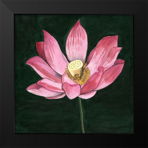 Pink Waterlily II Black Modern Wood Framed Art Print by Longley, Alicia
