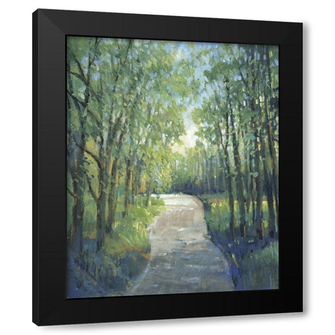 Golden Light Pathways I Black Modern Wood Framed Art Print with Double Matting by OToole, Tim