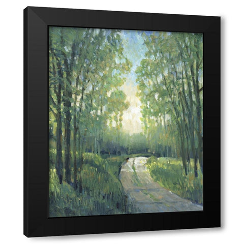 Golden Light Pathways II Black Modern Wood Framed Art Print with Double Matting by OToole, Tim