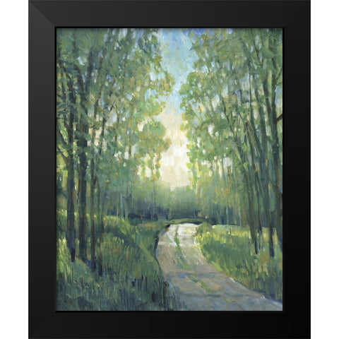 Golden Light Pathways II Black Modern Wood Framed Art Print by OToole, Tim