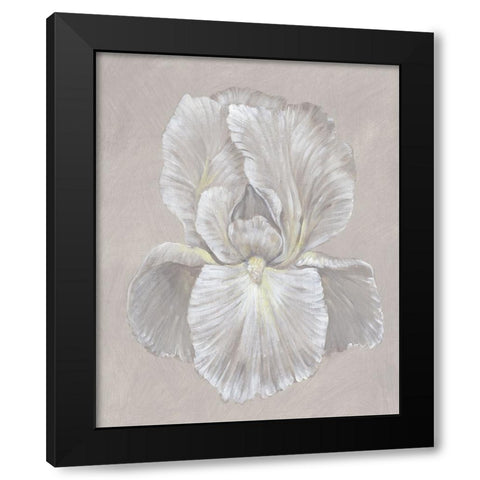 White Iris I Black Modern Wood Framed Art Print with Double Matting by OToole, Tim