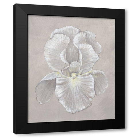 White Iris II Black Modern Wood Framed Art Print with Double Matting by OToole, Tim