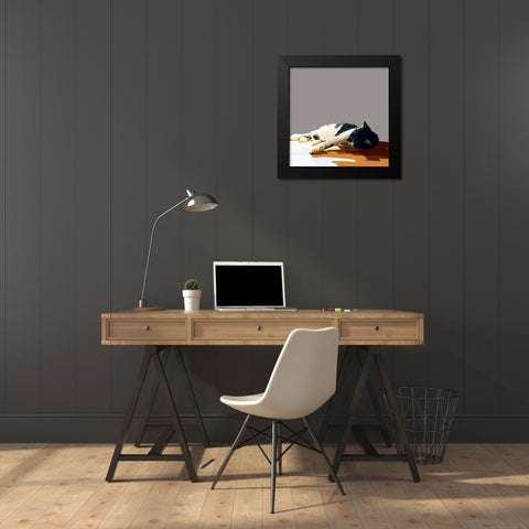 Sunning Kitties IV Black Modern Wood Framed Art Print by Kalina, Emily