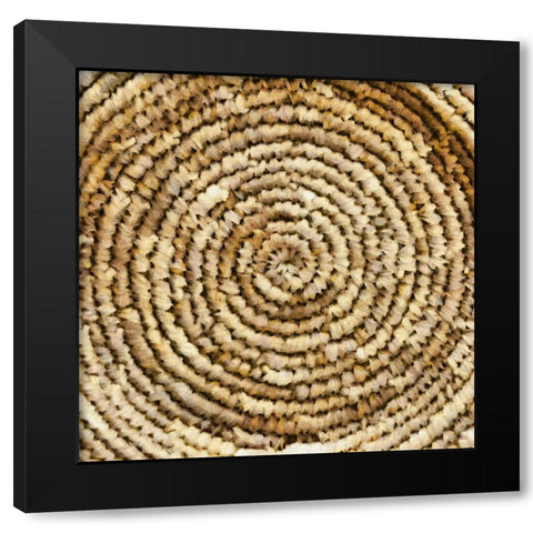 Basket Bottom II Black Modern Wood Framed Art Print with Double Matting by Saunders, Alonzo