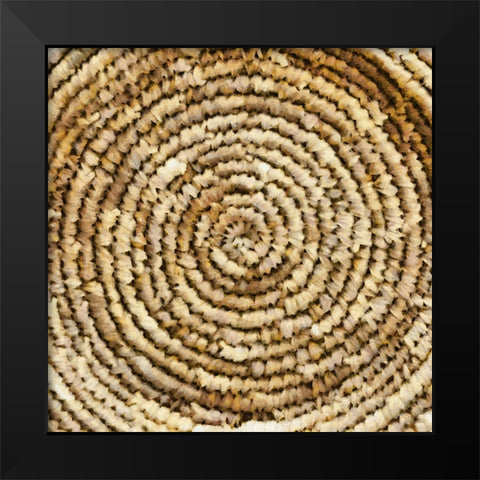 Basket Bottom II Black Modern Wood Framed Art Print by Saunders, Alonzo