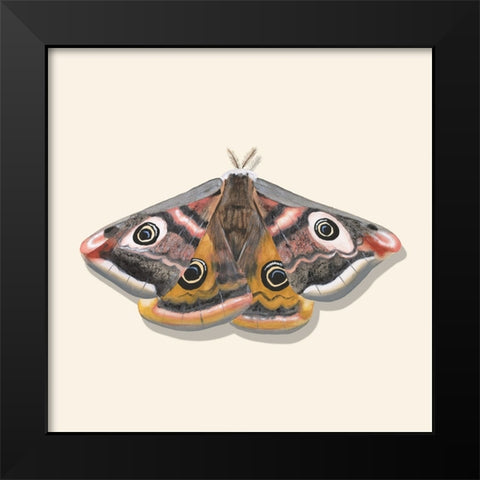 Watercolor Moths I Black Modern Wood Framed Art Print by Willett, Michael