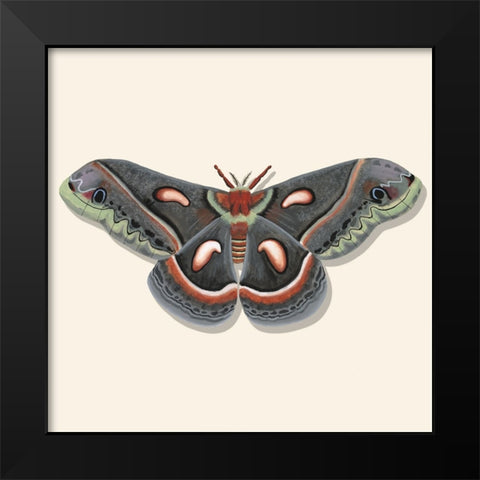 Watercolor Moths III Black Modern Wood Framed Art Print by Willett, Michael