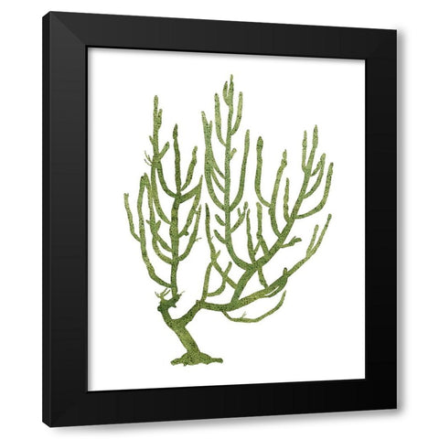 Coral Souvenirs III Black Modern Wood Framed Art Print with Double Matting by Popp, Grace