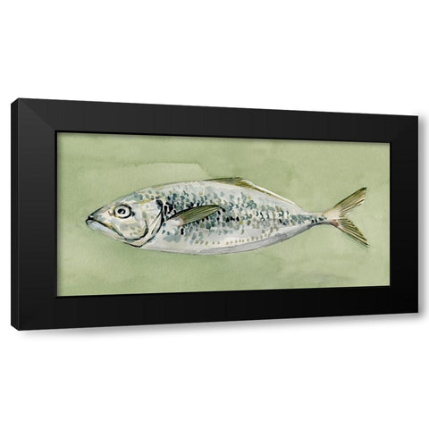 Green Sea Swimmer II Black Modern Wood Framed Art Print with Double Matting by Caroline, Emma