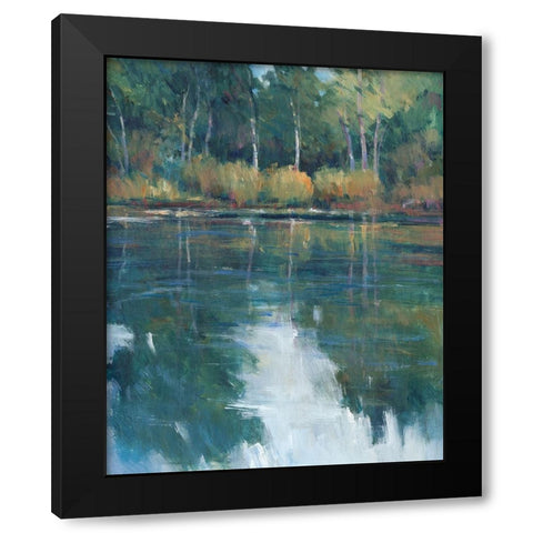 Floating Downstream II Black Modern Wood Framed Art Print by OToole, Tim